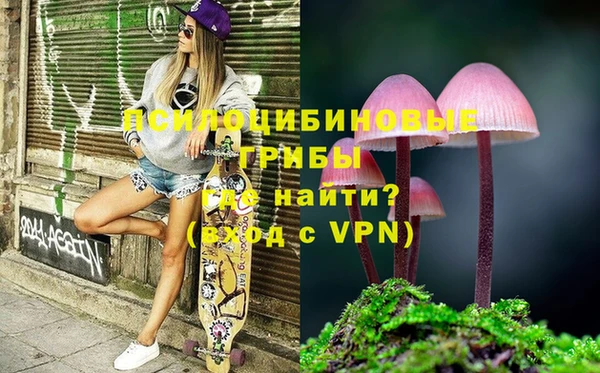таблы Осинники