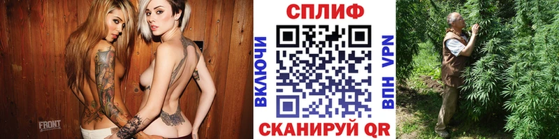 Конопля гибрид Барыш